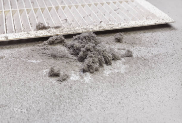 Best Affordable Duct Cleaning Services  in Normandy Park, WA