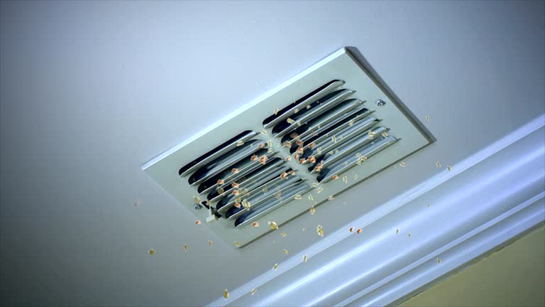 Ductwork Cleaning Services in Normandy Park, WA