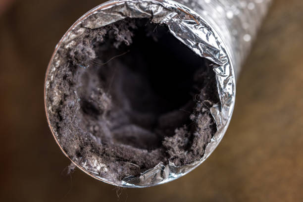 Best Ductwork Cleaning Services  in Normandy Park, WA